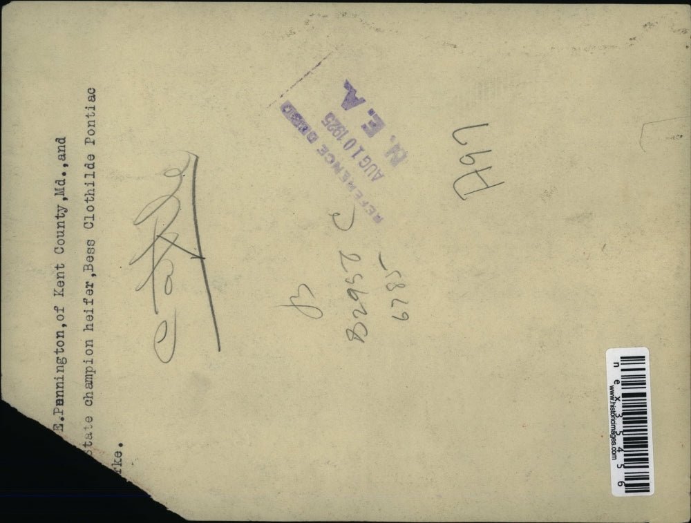 1925 Press Photo E Pennington Kent Co Md & champion heifer