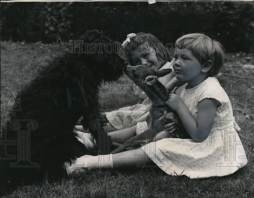 1935 Press Photo Moreton England Jane Parker, Susan Barnes & dog & deer fawn