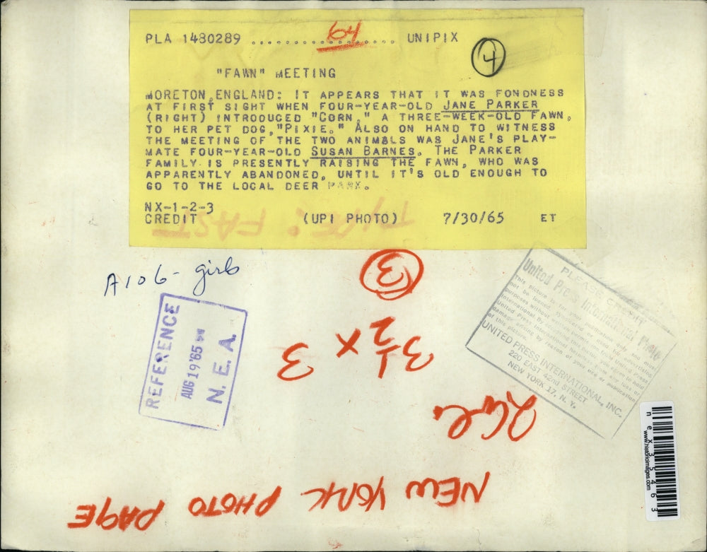 1935 Press Photo Moreton England Jane Parker, Susan Barnes & dog & deer fawn