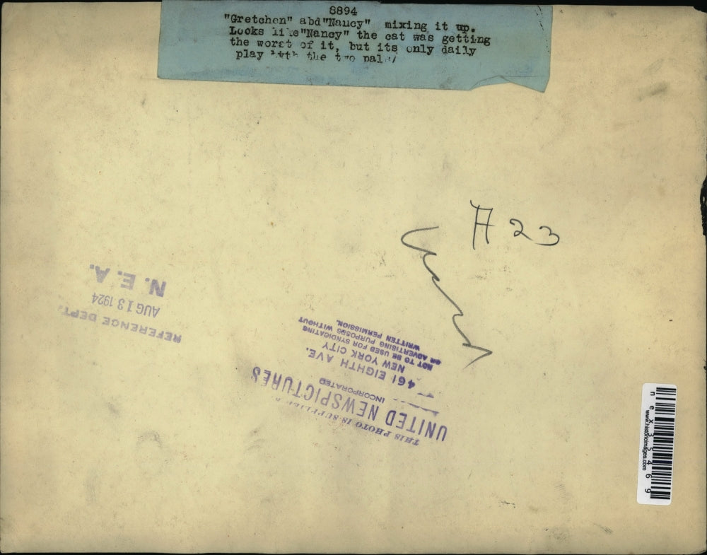 1924 Press Photo Gretcheb & Nacy dog & cat playing together