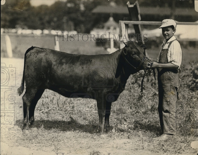Load image into Gallery viewer, 1922 Press Photo MB Thayer &amp; Grand champion heifer Fannie Gray in Pa

