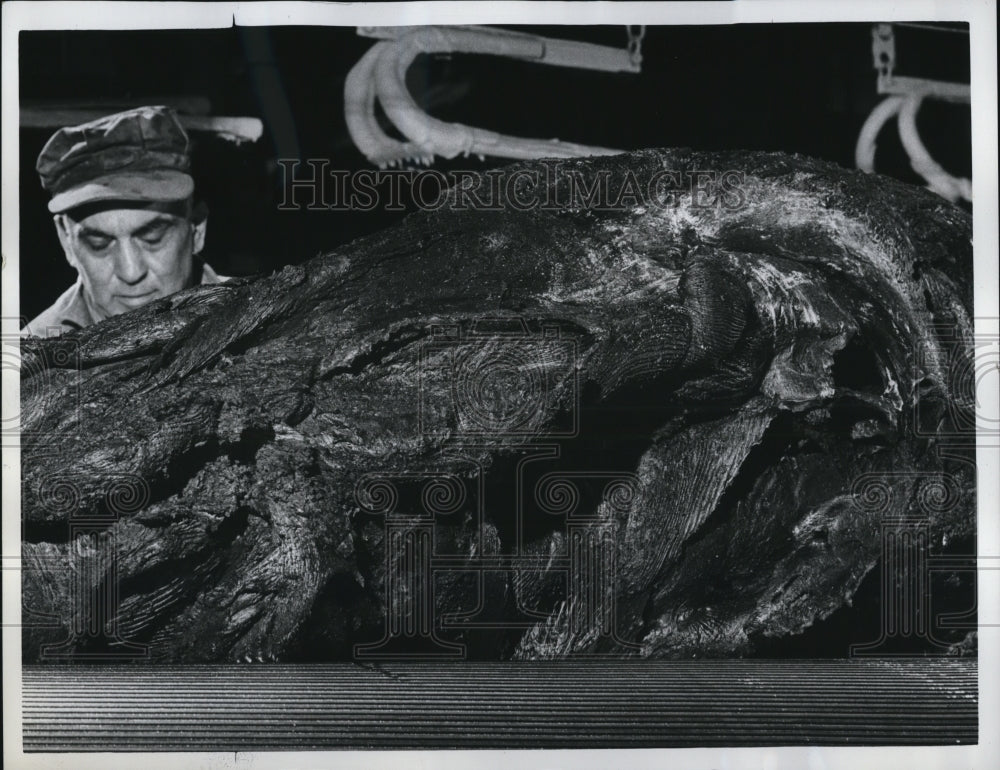 1961 Press Photo Mill Workman Kneading Uncured Rubber Batch, Goodyear Tire Co.