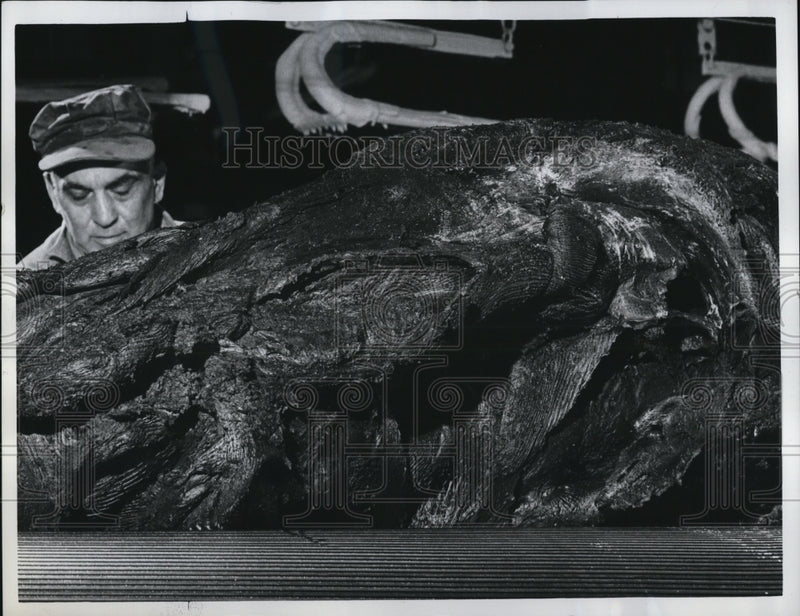 Load image into Gallery viewer, 1961 Press Photo Mill Workman Kneading Uncured Rubber Batch, Goodyear Tire Co.
