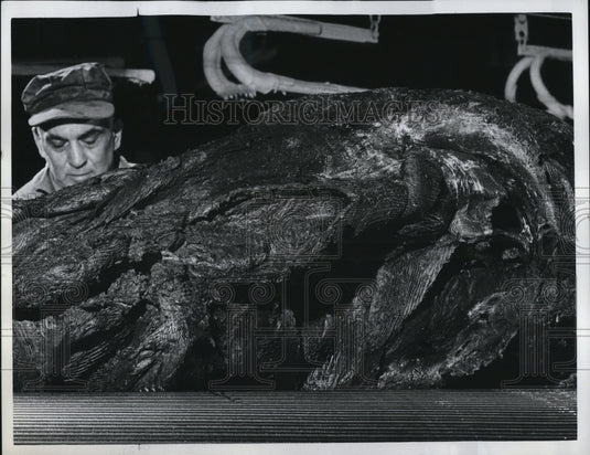 1961 Press Photo Mill Workman Kneading Uncured Rubber Batch, Goodyear Tire Co.