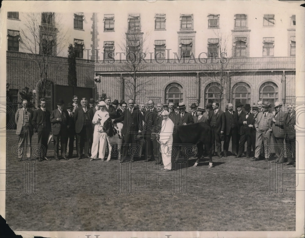 1923 Press Photo Pennsylvania Farmers Exhibiting Cattle Stock, American Bankers