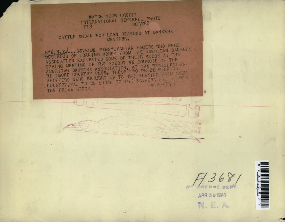 1923 Press Photo Pennsylvania Farmers Exhibiting Cattle Stock, American Bankers