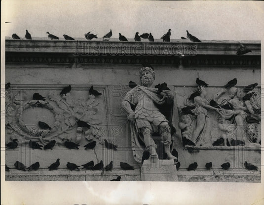 1971 Press Photo Venice Italy pidgeons & pollution have bad effect on bldgs