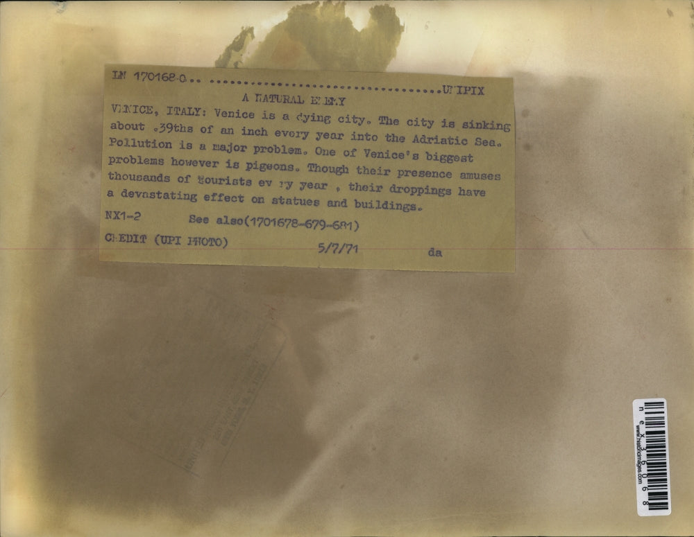 1971 Press Photo Venice Italy pidgeons & pollution have bad effect on bldgs