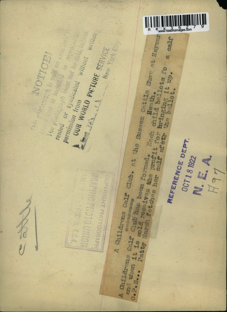 1922 Press Photo Children Calf Club at Sussex Cattle Show