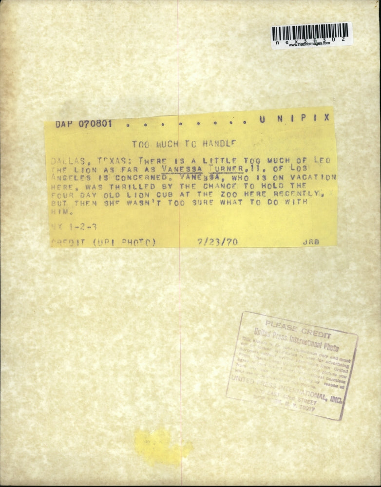 1970 Press Photo 11 Year Old Vanessa Turner Holding Lion Cub Leo, Dallas Zoo