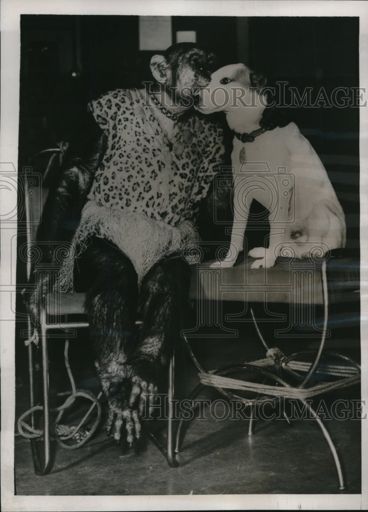Load image into Gallery viewer, 1938 Press Photo Cyril the Chimp &amp; Whoopee the Dog, sharing a tender moment
