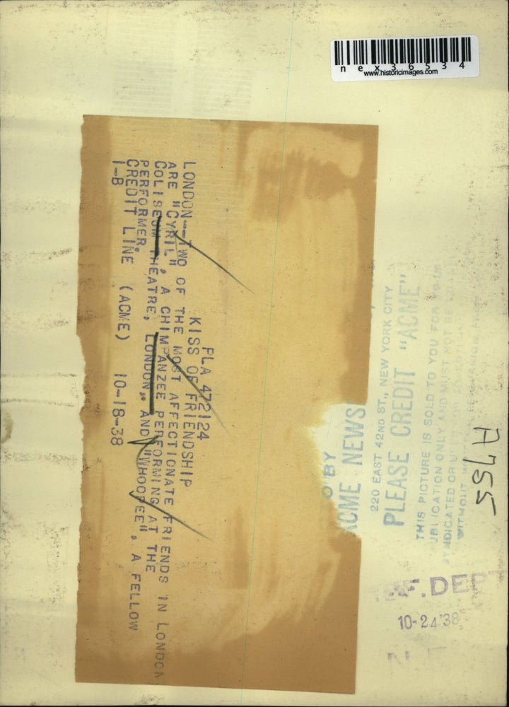 1938 Press Photo Cyril the Chimp & Whoopee the Dog, sharing a tender moment