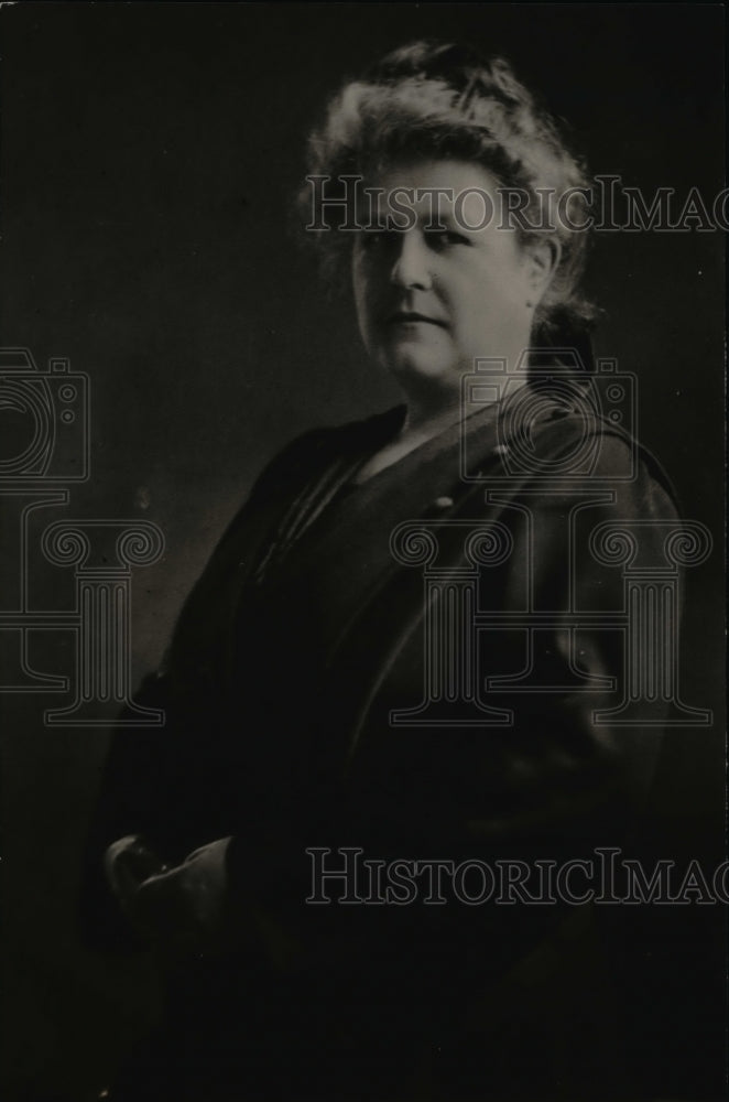 1920 Press Photo Mrs. Mary I. Wood of Portsmouth Council of National Defense