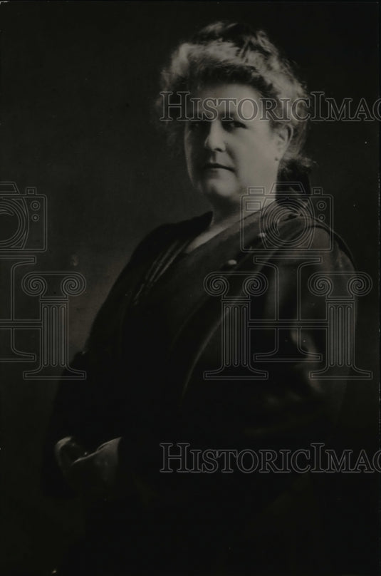 1920 Press Photo Mrs. Mary I. Wood of Portsmouth Council of National Defense