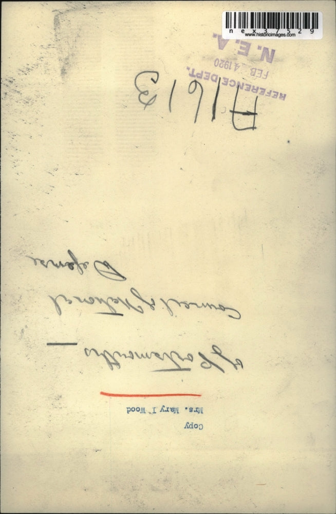 1920 Press Photo Mrs. Mary I. Wood of Portsmouth Council of National Defense