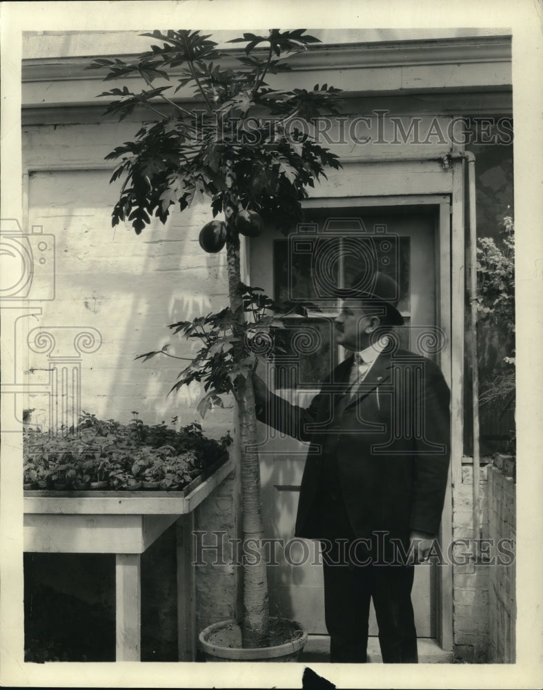 1923 Press Photo George W Hess with Carica Papaya Tree of Hawaii