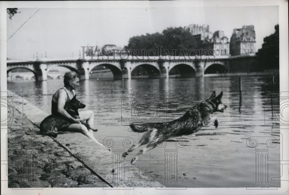 1952 Press Photo German Shepherd dog leaps into the Seine River in Paris France