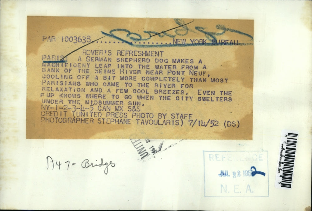 1952 Press Photo German Shepherd dog leaps into the Seine River in Paris France