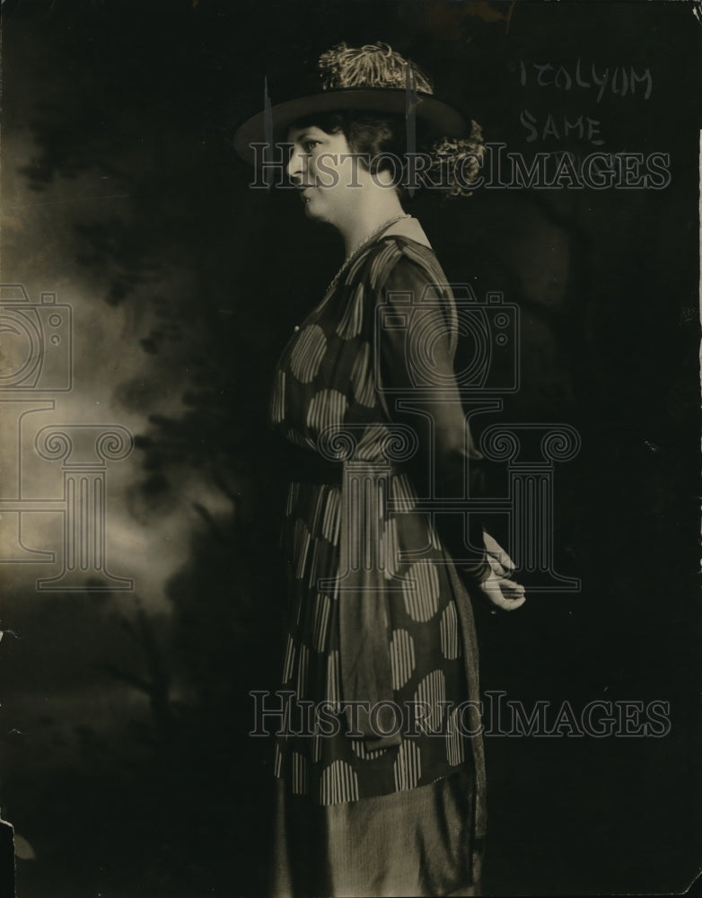 1920 Press Photo Charl O Williams Vice Chairman Democratic National Convention