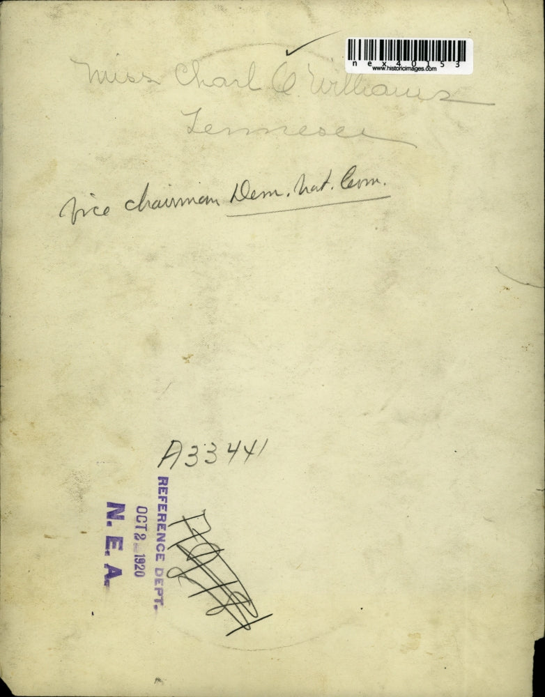 1920 Press Photo Charl O Williams Vice Chairman Democratic National Convention