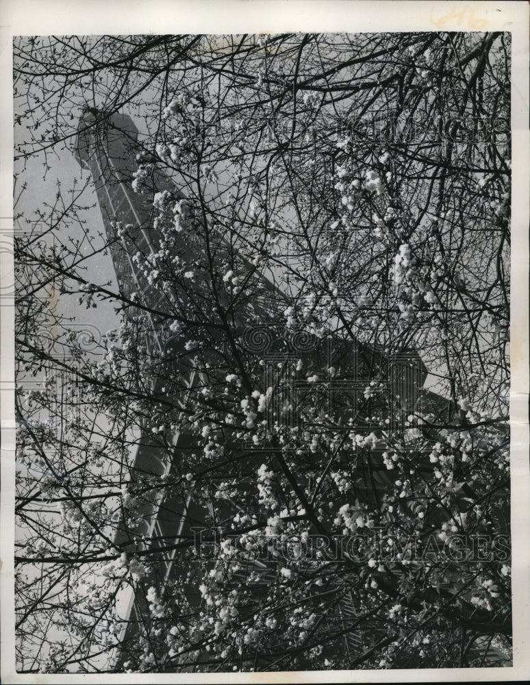 1959 Press Photo The Eiffel Tower with blossoms in the foreground- Historic Images