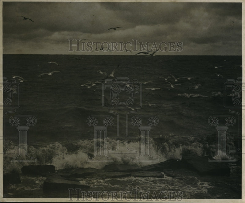 Load image into Gallery viewer, 1940 Press Photo Gordon Park &amp; seagulls flying over waves
