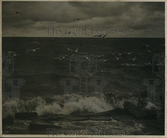 1940 Press Photo Gordon Park & seagulls flying over waves