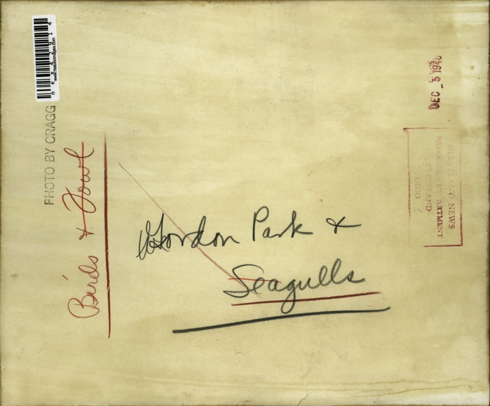 1940 Press Photo Gordon Park & seagulls flying over waves