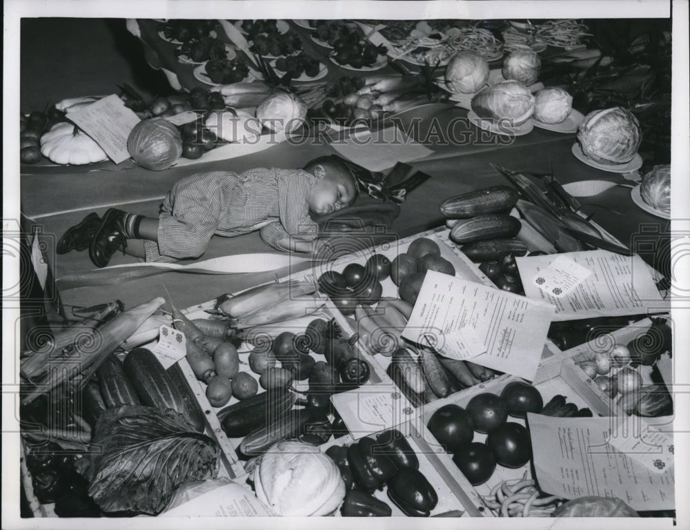 1957 Press Photo La Porte Ind Bruce Jones age 2 at vegetable exhibit