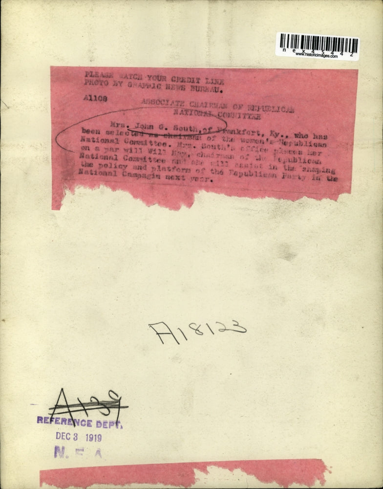 1919 Press Photo Mrs. John South, Assoc. Chairman Republican National Committee