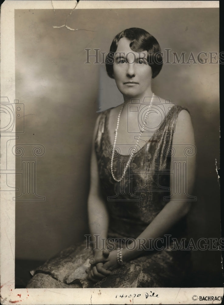 1931 Press Photo Mrs. Arthur H. Vandenberg