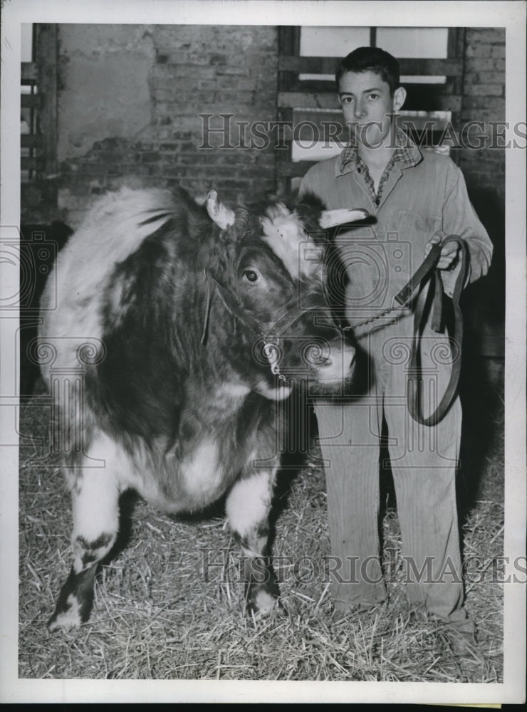 Load image into Gallery viewer, 1943 Press Photo Grand champion Trump, Short-horn steer w/ owner Jack Talbott Jr

