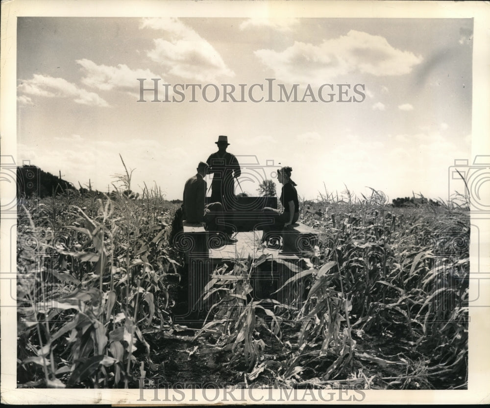 1949 Press Photo Martin Beer and his son Gordon start for the Cornfield