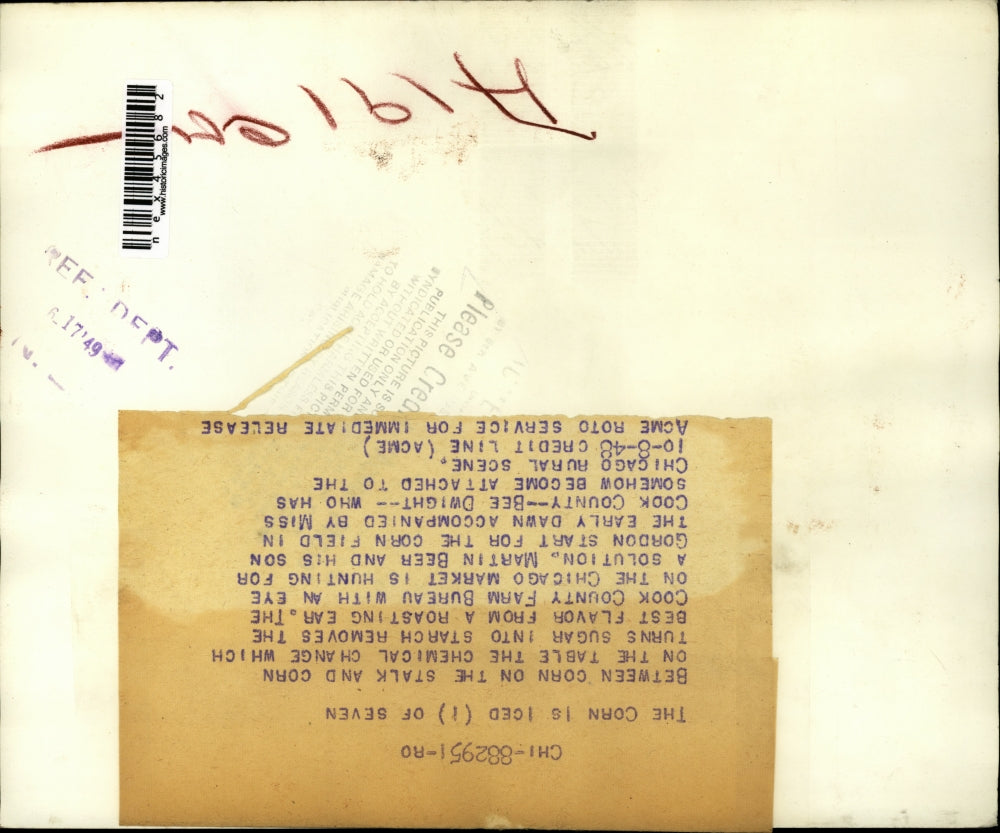 1949 Press Photo Martin Beer and his son Gordon start for the Cornfield