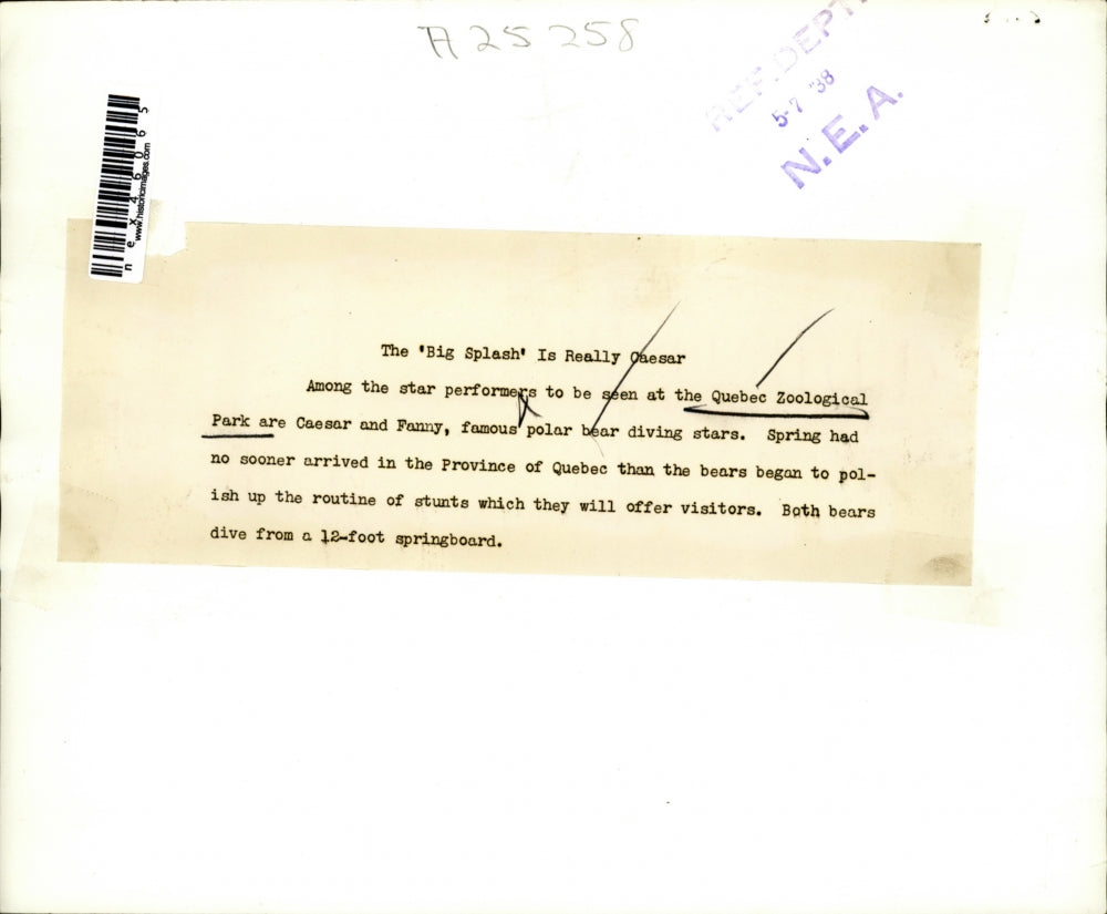 1938 Press Photo Quebec Zoo Caesar & Fanny the polar bears
