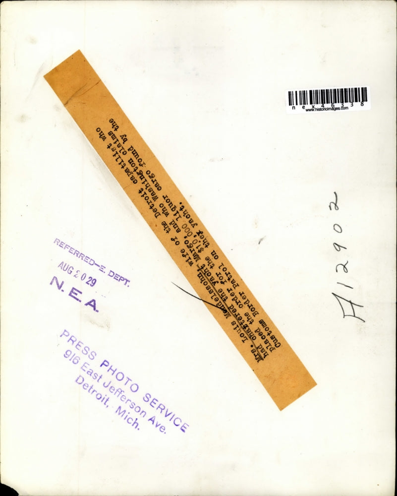 1929 Press Photo Mrs Louie Mendelssohn wife of Detroit capitalist