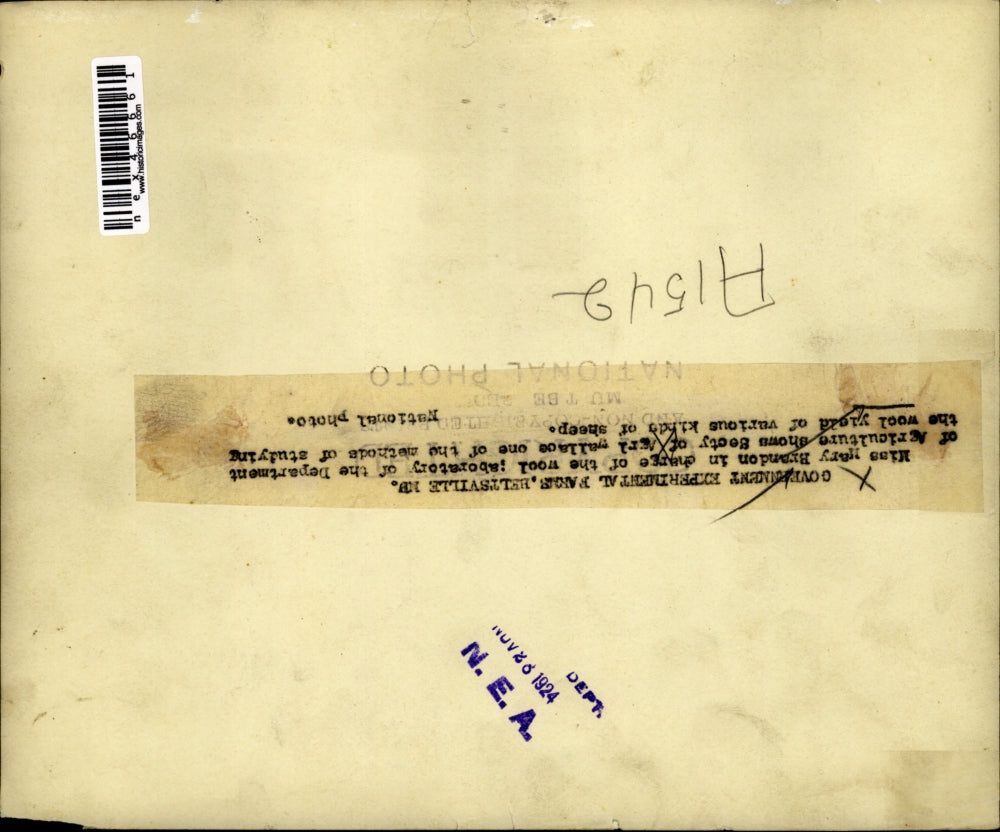 1924 Press Photo Miss Mary Brandon, in charged of the wool laboratory