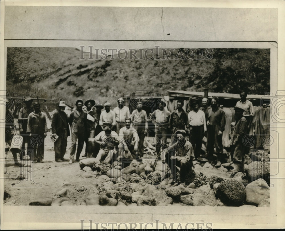 1929 Press Photo Socoro Island sheep party during a trip