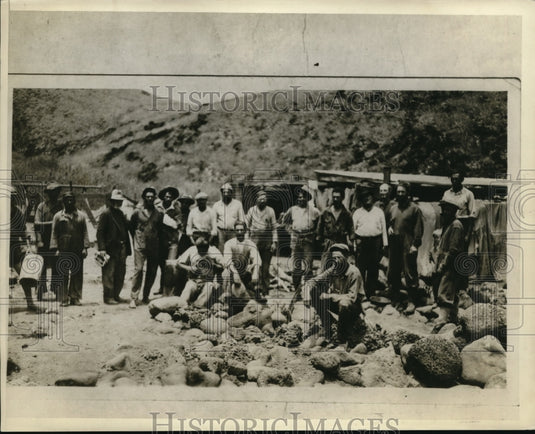 1929 Press Photo Socoro Island sheep party during a trip