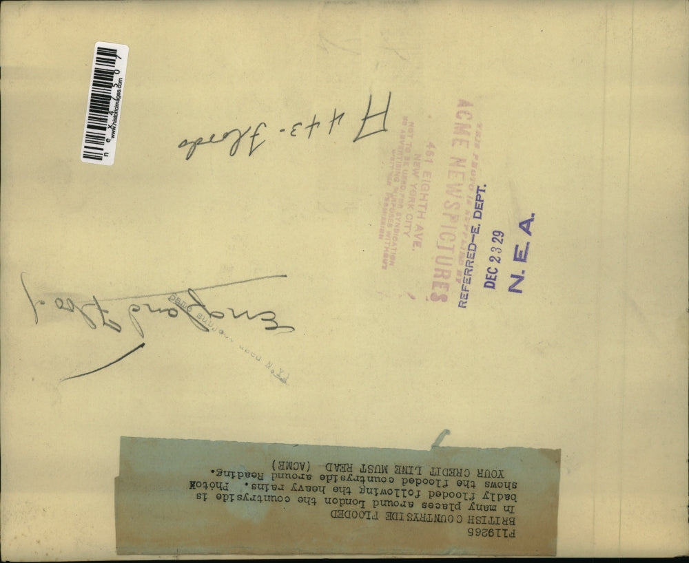 1929 Press Photo View of the Flooded County side around Reading in London