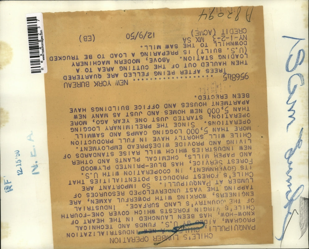 1950 Press Photo Panquipulli Chile trees felled by modern machinery