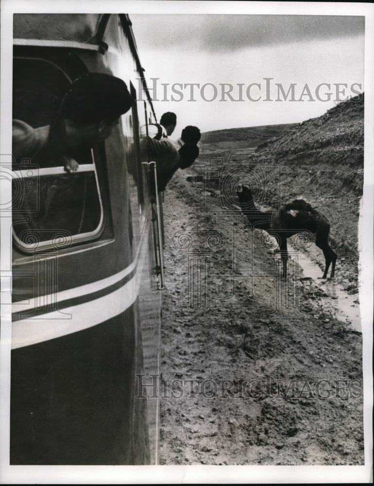 1956 Press Photo Modern Diesel electric train to run on Na'an Beersheba railway