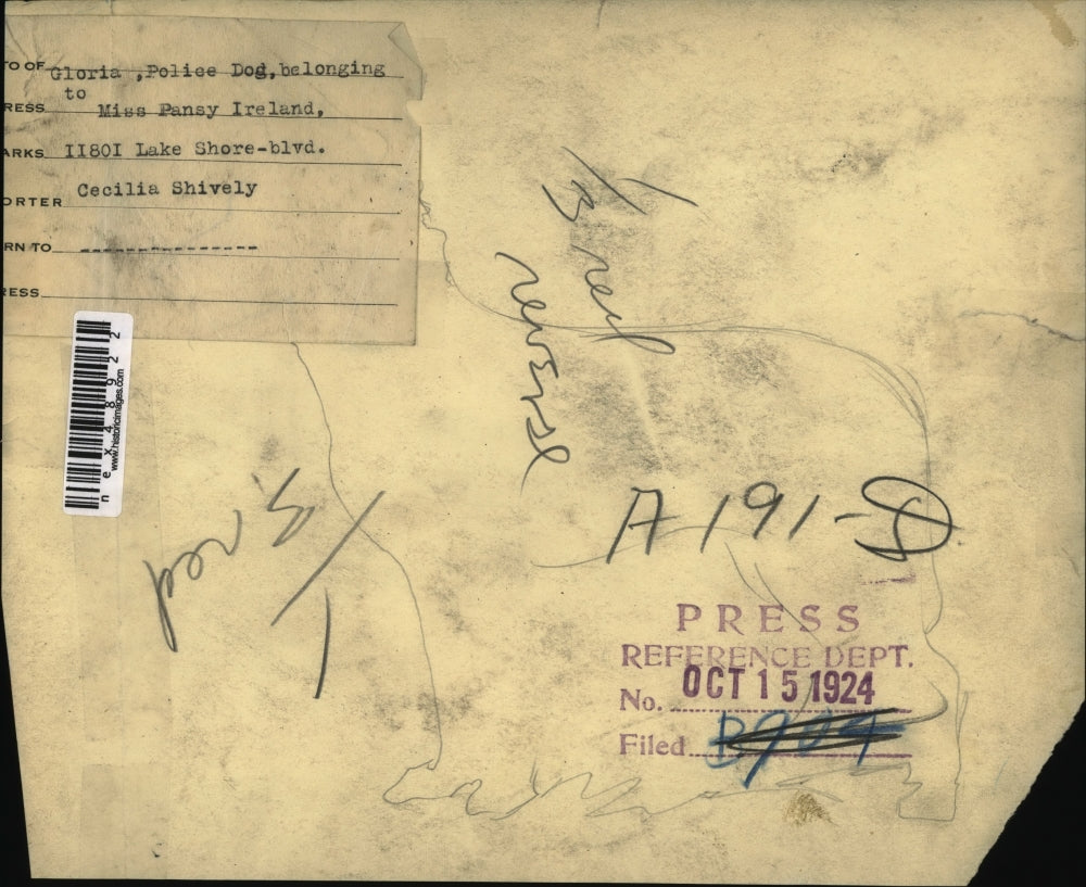 1924 Press Photo Gloria, the police dog owned by Miss Pensy Ireland