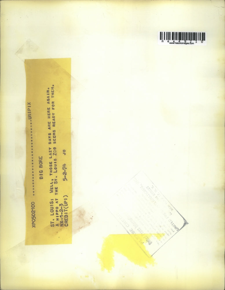 1974 Press Photo St Louis Mo a hippo at the zoo