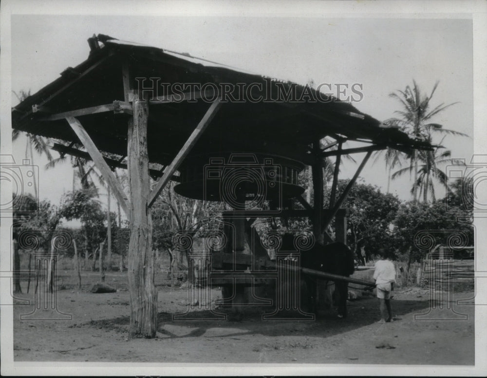 1934 Press Photo The horse power water lift in Nicaragua