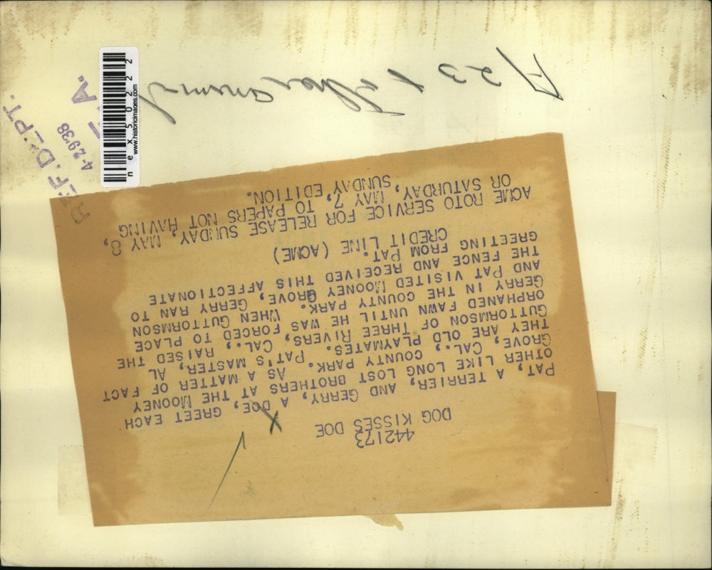 1938 Press Photo Pat the terrier and Gerry, a doe, friends at Mooney Grove Park