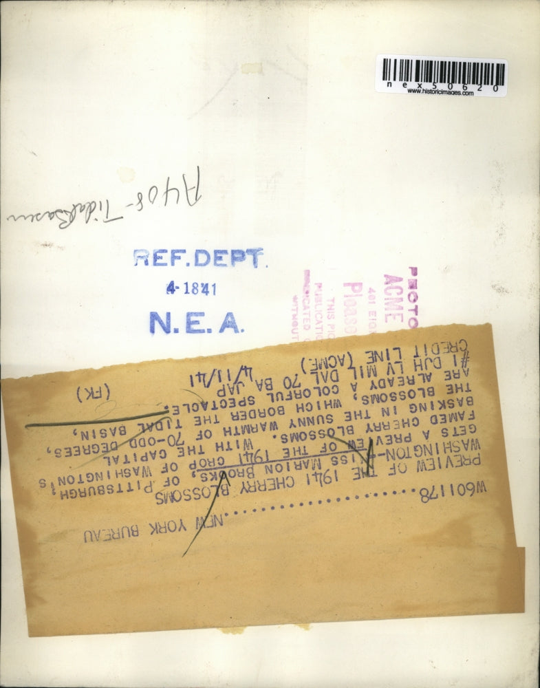 1941 Press Photo Wash DC Marion Brooks bikes along Tidal Basin in cherry blossom