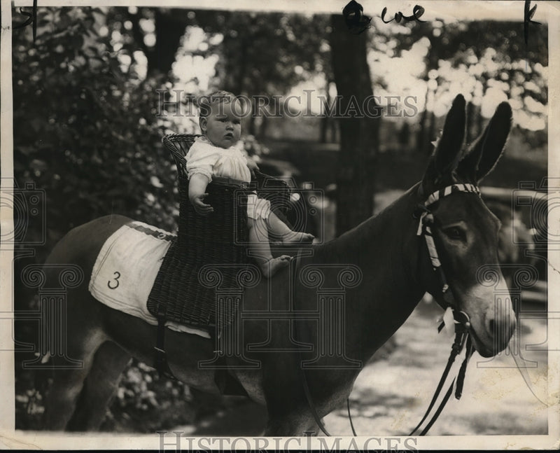Load image into Gallery viewer, 1928 Press Photo Baby Payne Payson on a donkey
