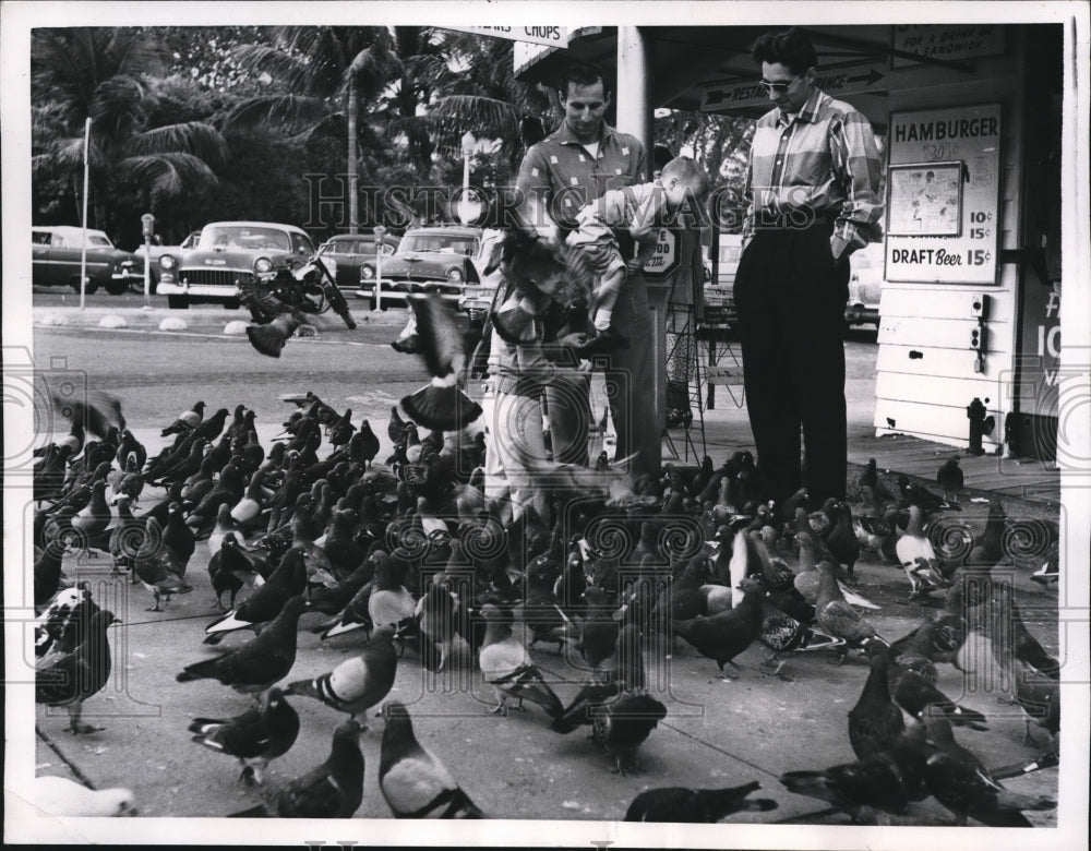 1957 Press Photo Miami Beach Fla pigeons at a seaside restaurant