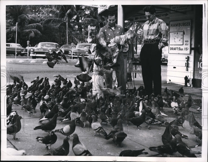 Load image into Gallery viewer, 1957 Press Photo Miami Beach Fla pigeons at a seaside restaurant

